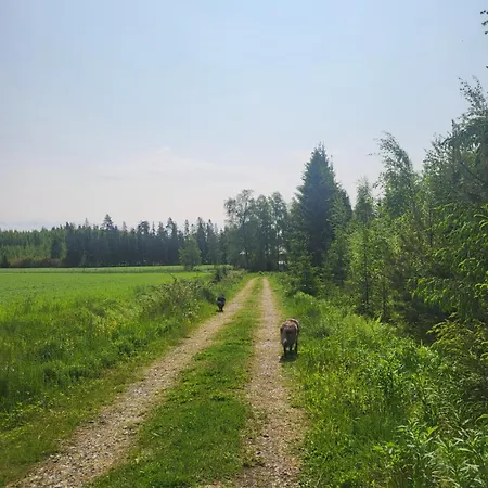 Maatilamajoitukset Metsolan Maatila Pakainen